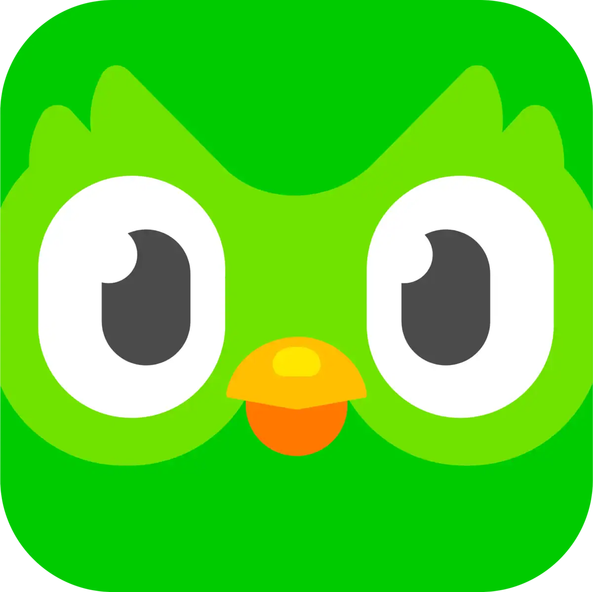 duolingo app logo